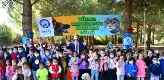 Yıldırım'da sokak hayvanları emin ellerde