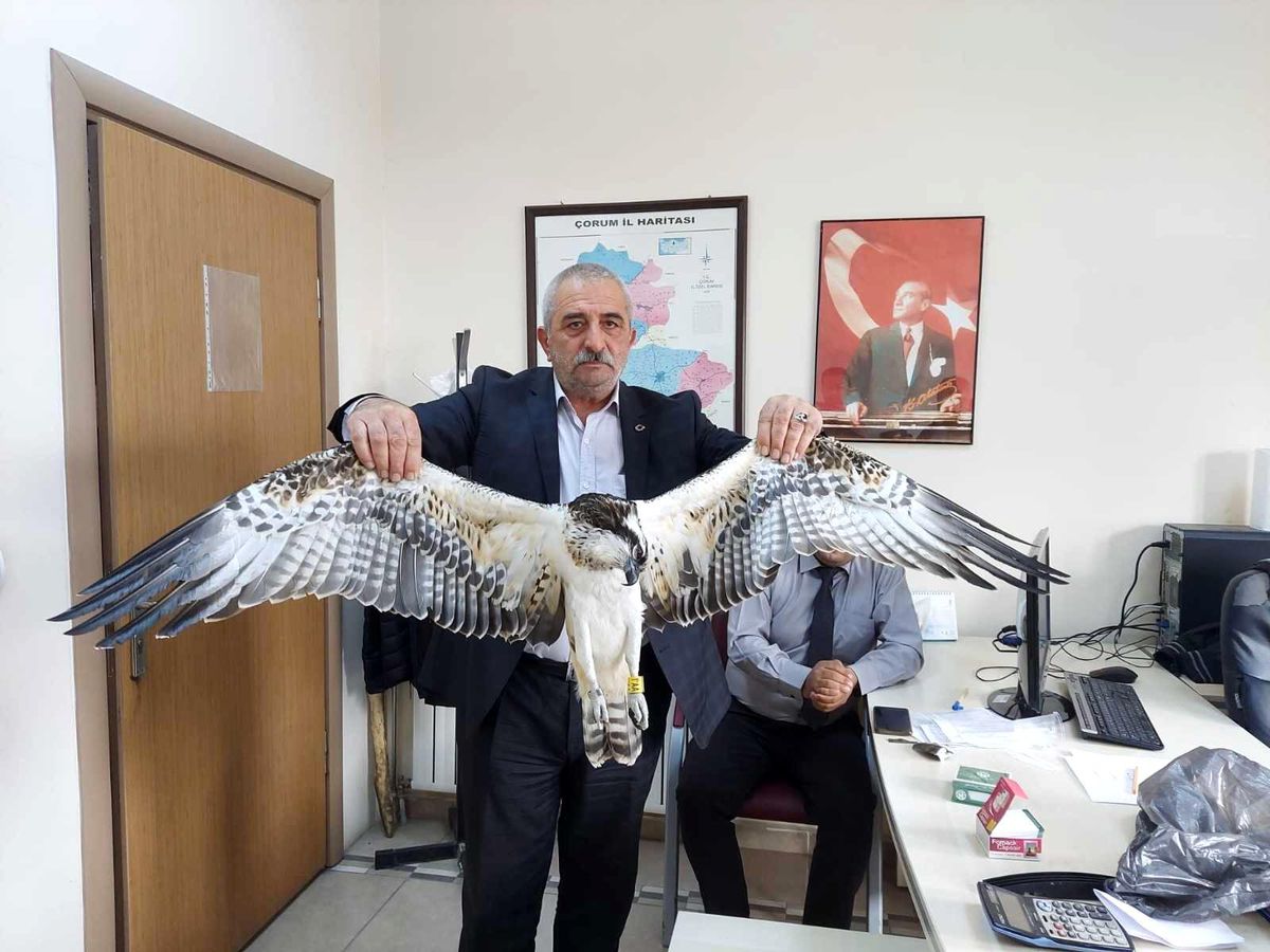 Son dakika haberleri: 4 bin kilometreden geldi elektrik akımına kapıldı hayatını kaybetti