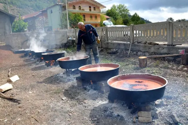 Antalya'nın Toros Dağları'ndan sofralara uzanan şifalı lezzet Andız Pekmezi 