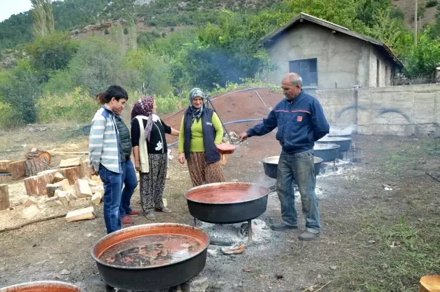 Antalya'nın Toros Dağları'ndan sofralara uzanan şifalı lezzet Andız Pekmezi 