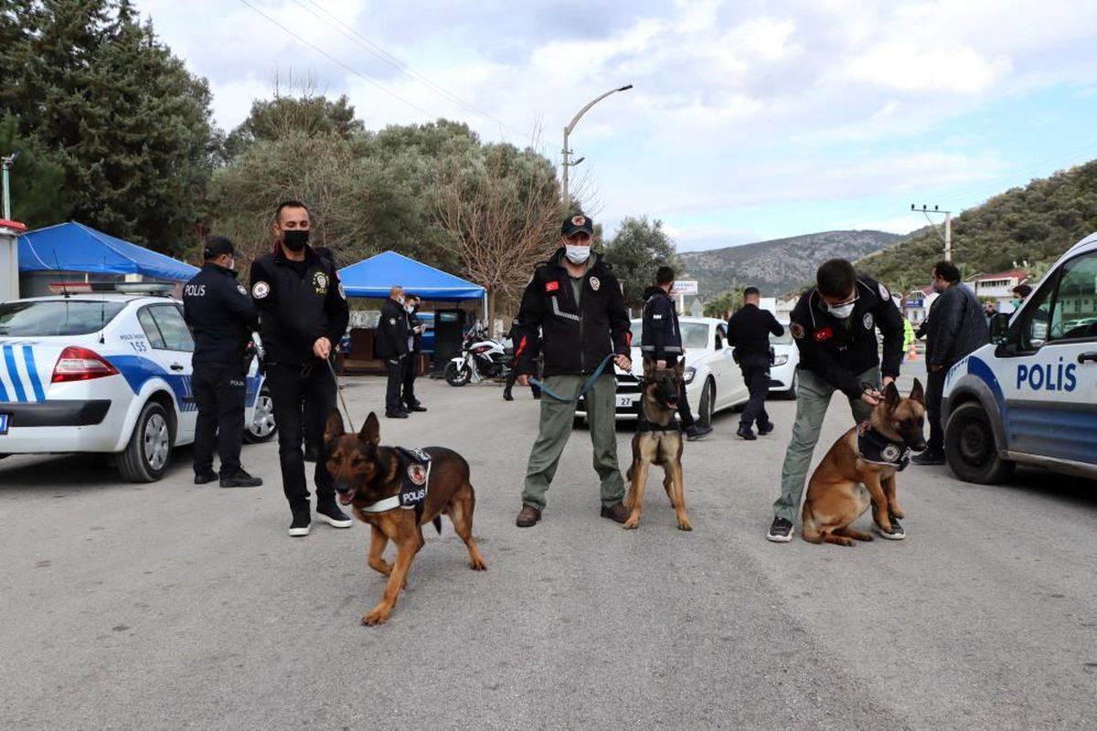 Son dakika haberi! Aydın\'da Sahil Rüzgarı 2 operasyonu