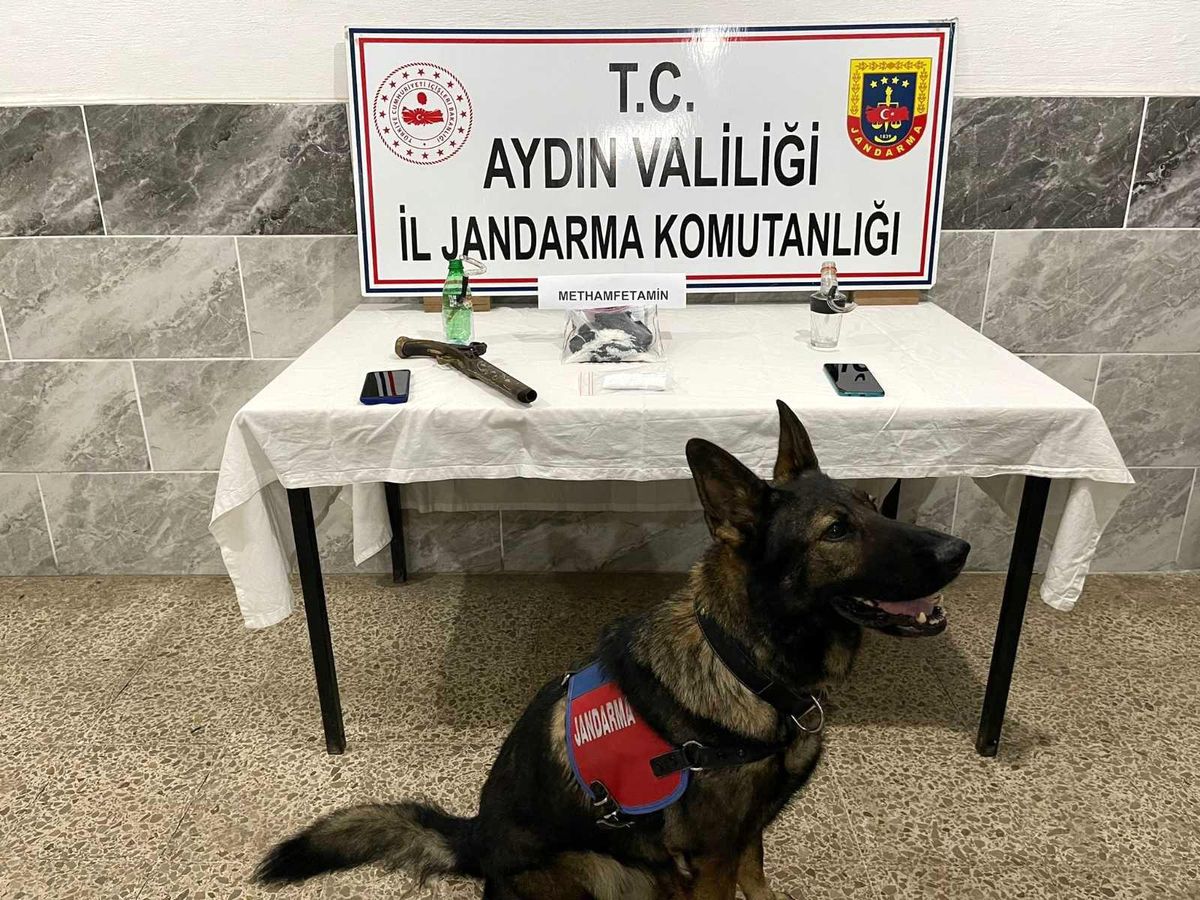 Aydın\'da uyuşturucu operasyonu