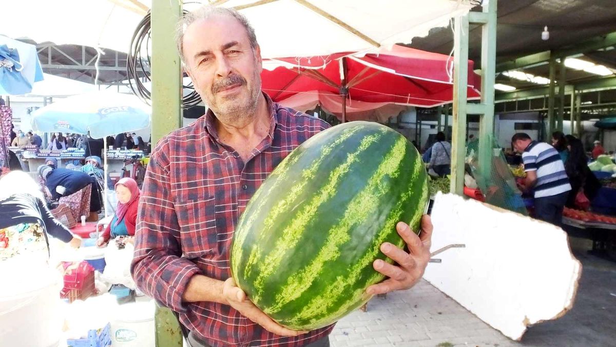Burhaniye\'de 25 kiloluk karpuz ilgi odağı oldu