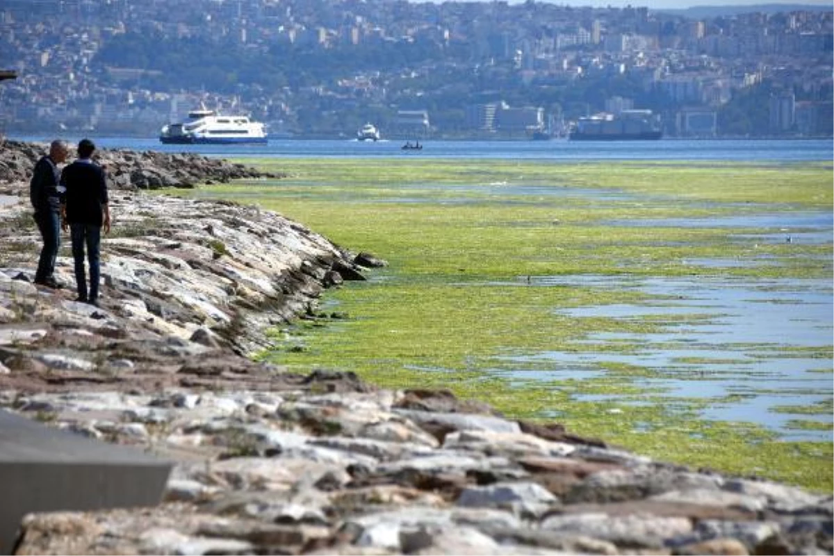 İZMİR\'DE DENİZ YEŞİLE BÜRÜNDÜ