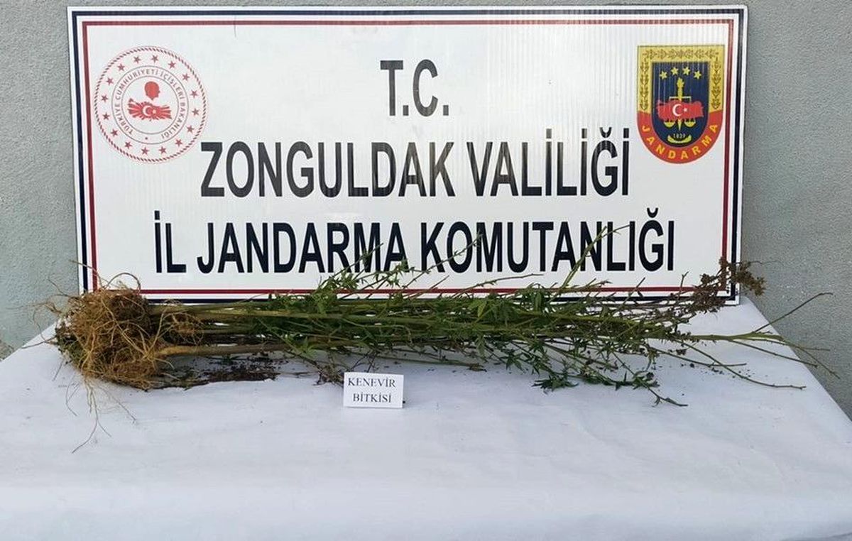 Son dakika haberleri | Jandarmadan uyuşturucu operasyonu