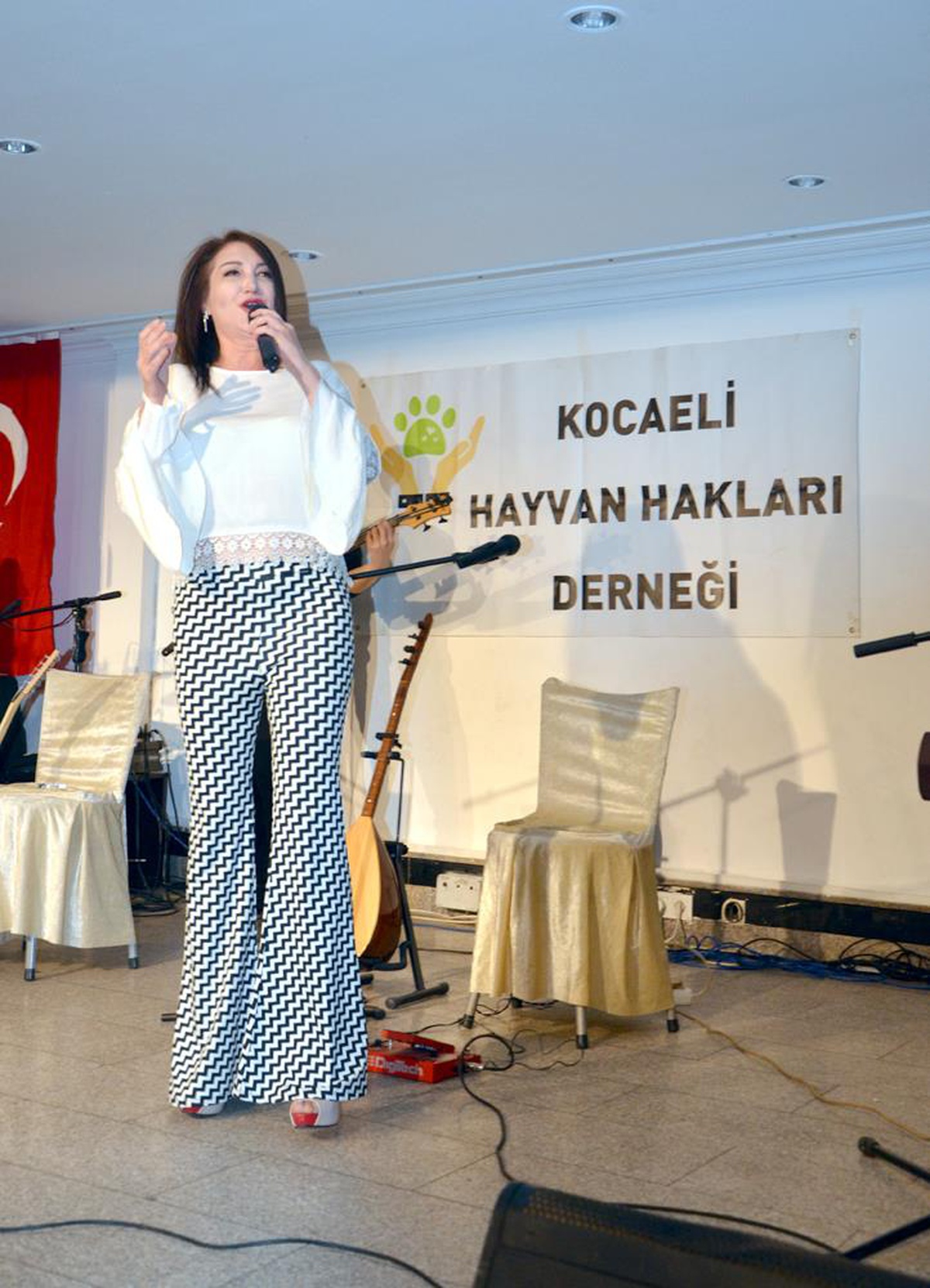 Son dakika haberleri! Karamürsel\'de "Hayvanları Koruma Günü" etkinliği