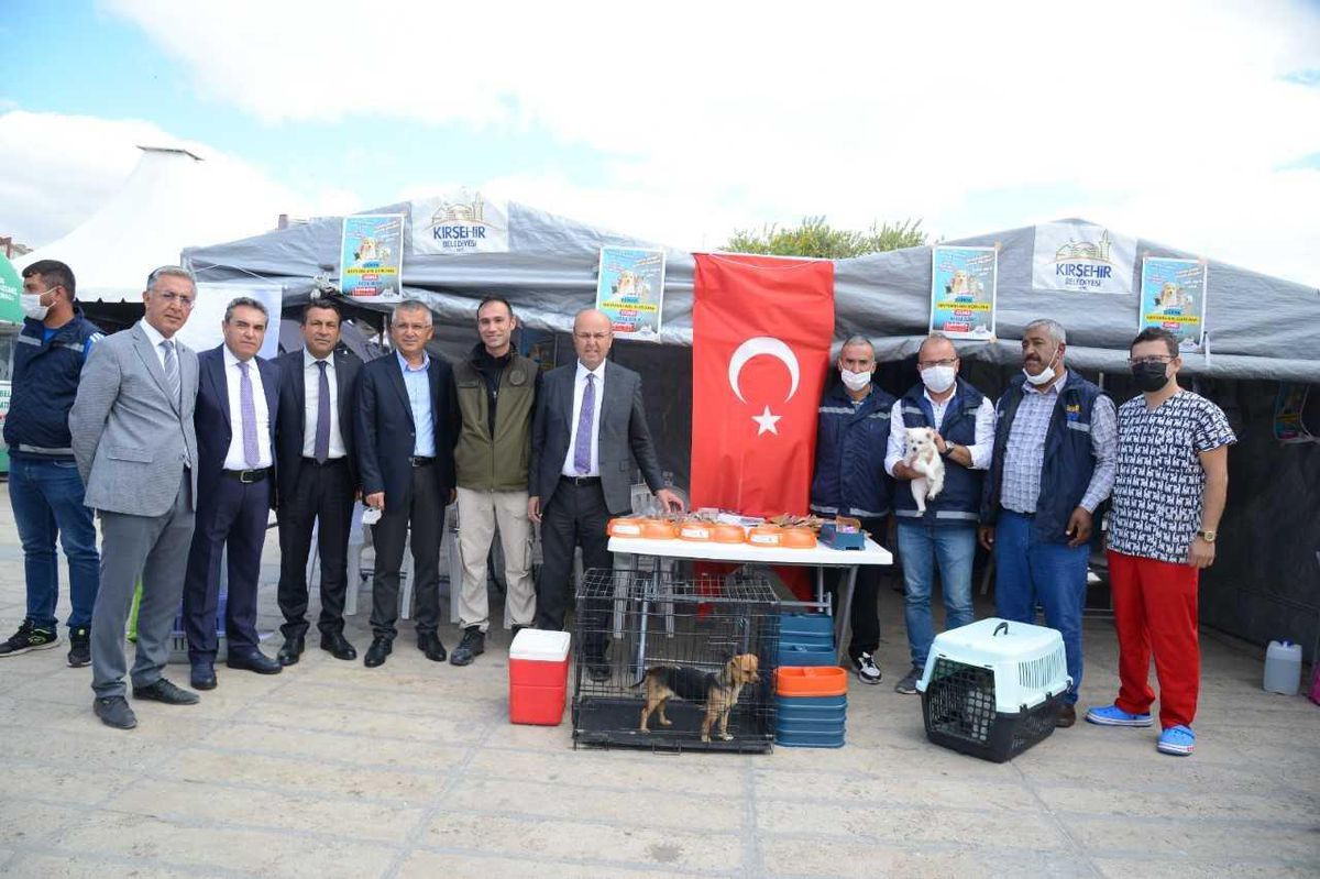 Kırşehir\'de hayvanları koruma bilinci oluşturmak için meydanda çadır kuruldu