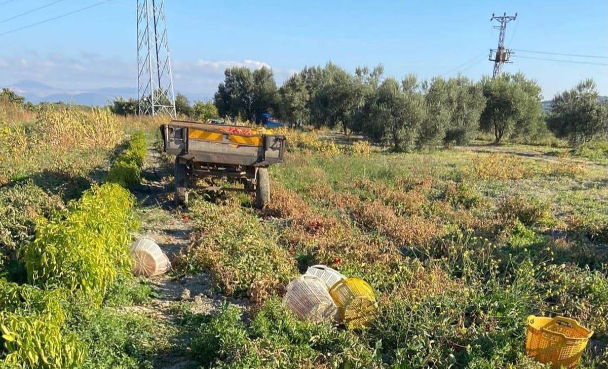 Son dakika haber... Manisa\'da tarlada traktörün çarptığı kadın öldü