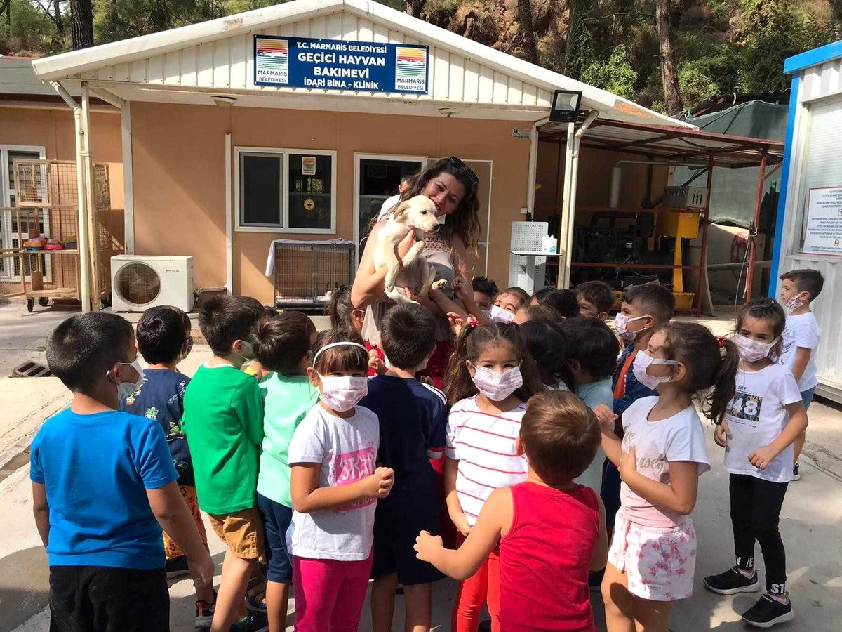 Marmaris\'te hayvan barınağı öğrencilerin akınına uğradı