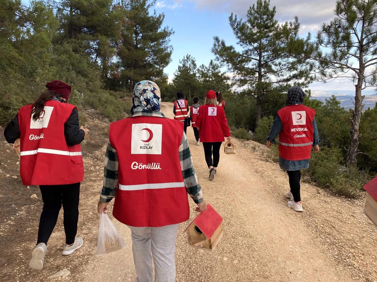 Ormanlık alana kuş kafesleri yerleştirerek hayvanlar için kaplara yem ve su koydular