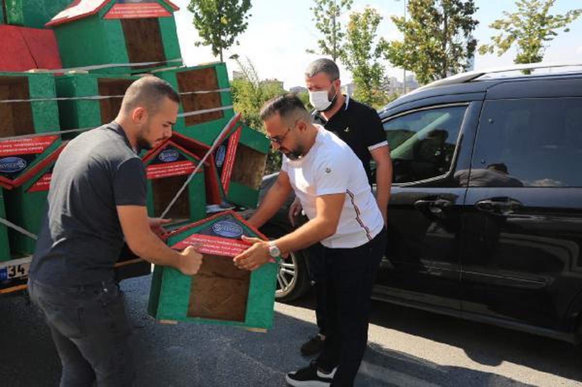 Sokak hayvanları için park ve bahçelere 1000 kulübe