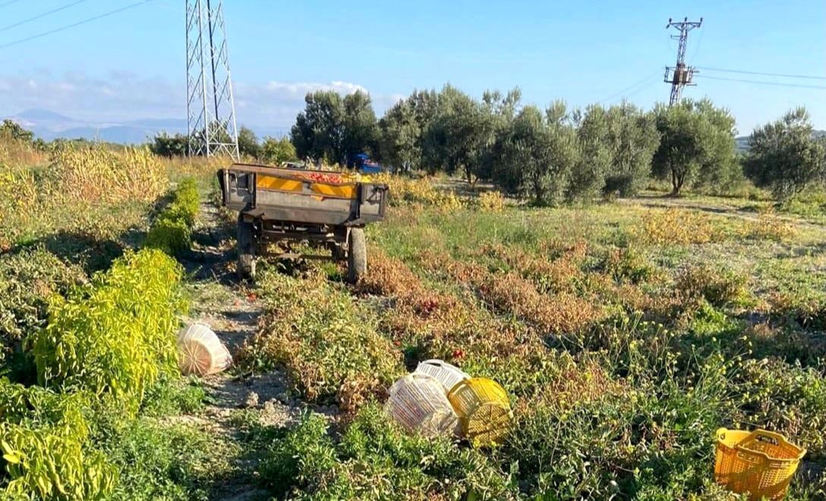 Son dakika: Traktörün altında kalan kadın hayatını kaybetti