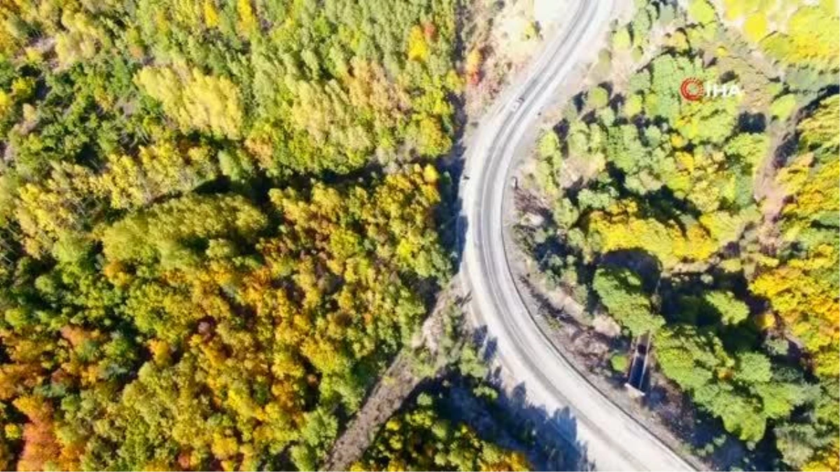 Yapraklar sarardı ortaya tablo gibi görüntüler çıktı