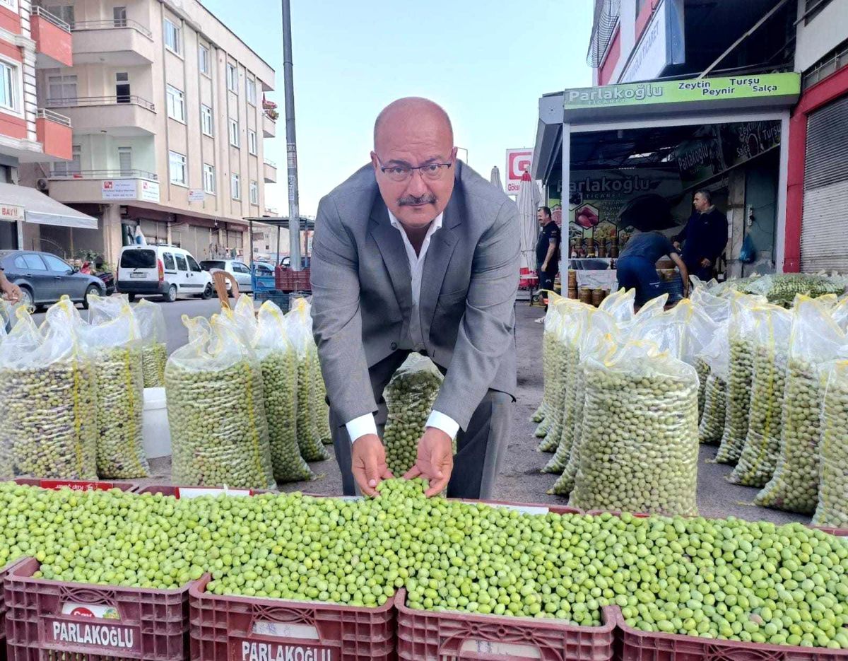 Yeşil zeytinde bu yıl rekolte düşük