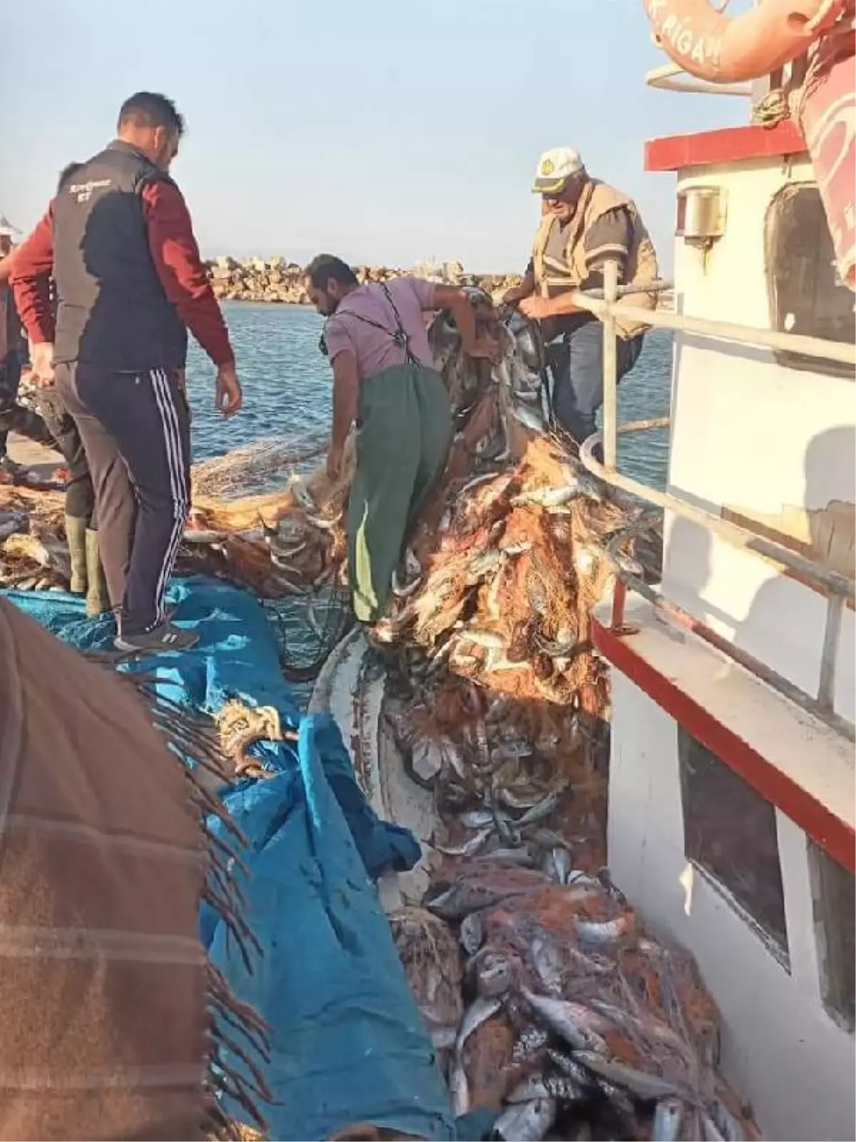 ÇANAKKALELİ BALIKÇI, 15 BİN TANE LÜFER YAKALADI