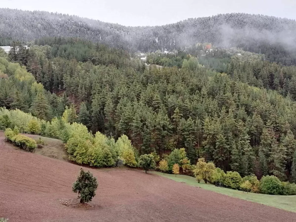 Coreker yaylasında lapa lapa kar yağı