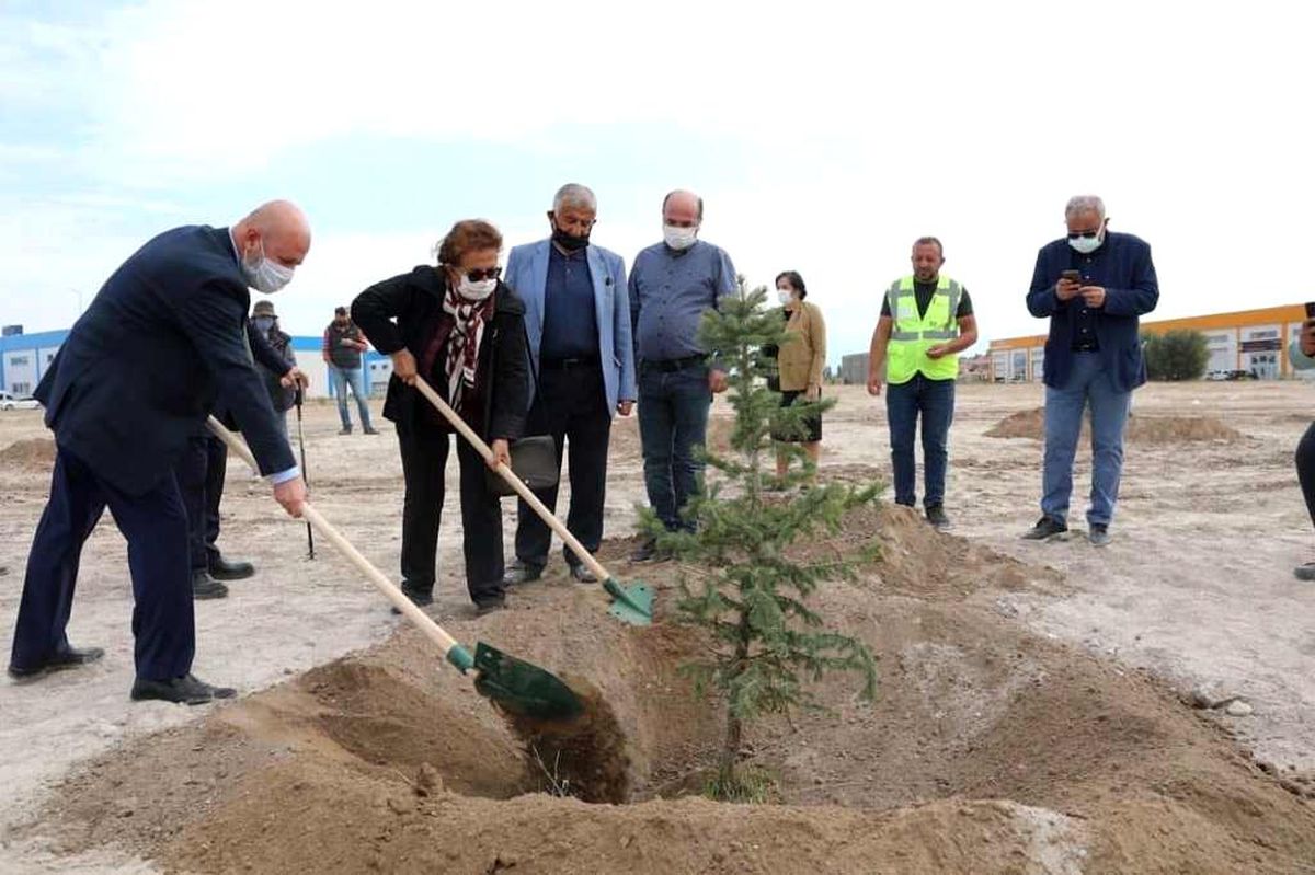Daha yeşil Kocasinan için yeşil alanlara sonbahar bakımı
