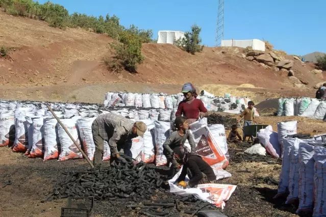 Ekmeklerini taştan değil, kömürden çıkarıyorlar