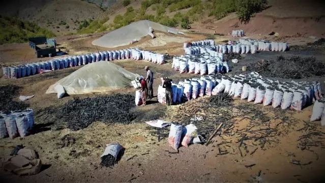 Ekmeklerini taştan değil, kömürden çıkarıyorlar