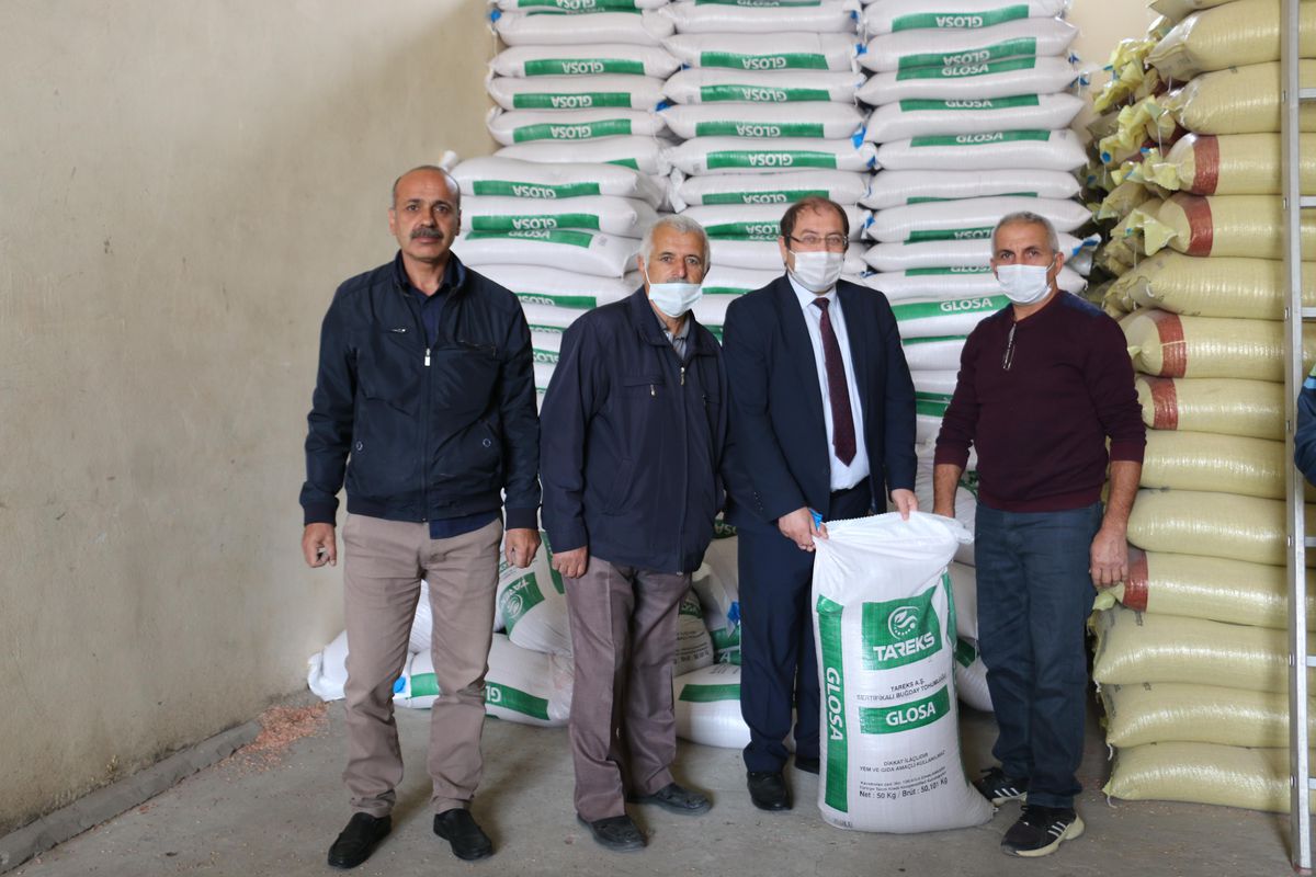 Erzincan\'da çiftçilere yüzde 75\'i hibe olan buğday ve arpa tohumu dağıtılıyor