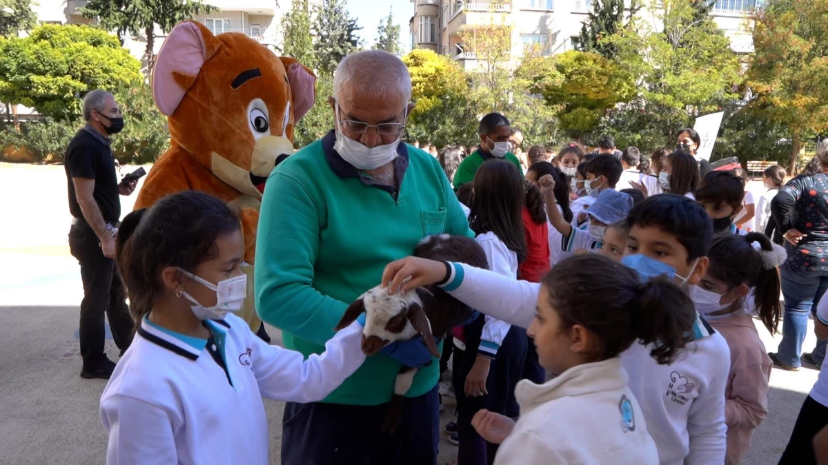 Gaziantep\'de çocuklara hayvan sevgisi aşılamak için düğmeye basıldı