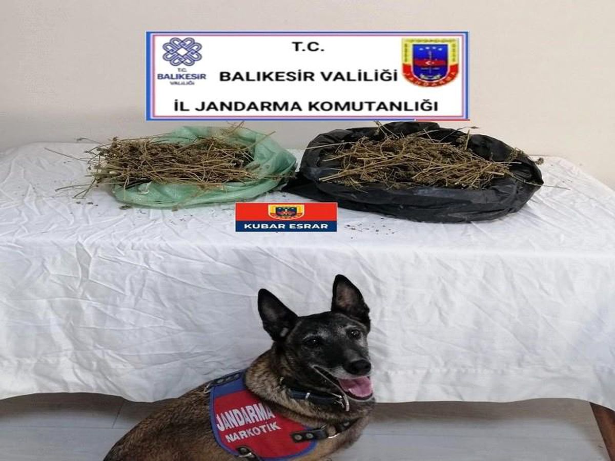 Jandarma 23 kilo esrar ele geçirdi