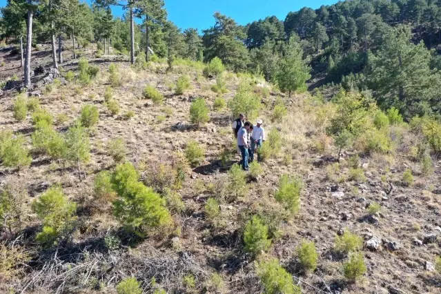 Kayıp yaşlı adam drone ile bulundu