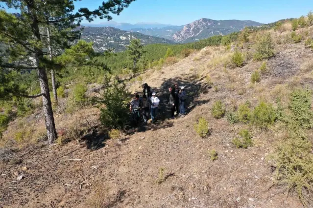 Kayıp yaşlı adam drone ile bulundu