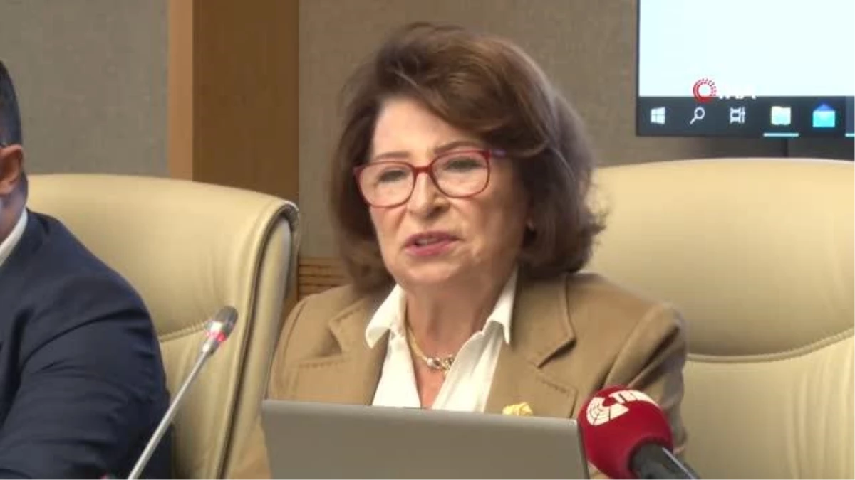 Psikiyatrist Gülseren Budayıcıoğlu \'Kadına Şiddet Komisyonu\'nda milletvekillerine bilgi verdi