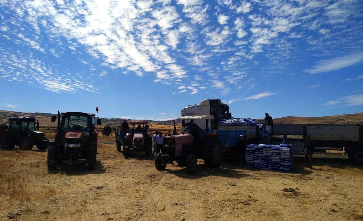 Tunceli\'de bin 500 dekarlık alanda karma yem tohumluğu ekilecek
