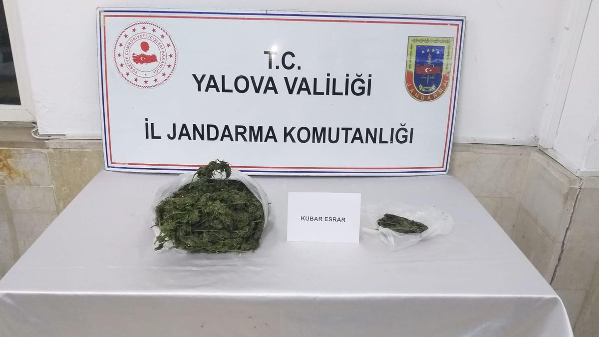 Son dakika haberi! Yalova\'da uyuşturucu operasyonunda bir şüpheli yakalandı
