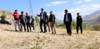 Çatak'ta ceviz yetiştiriciliği yaygınlaştırılıyor