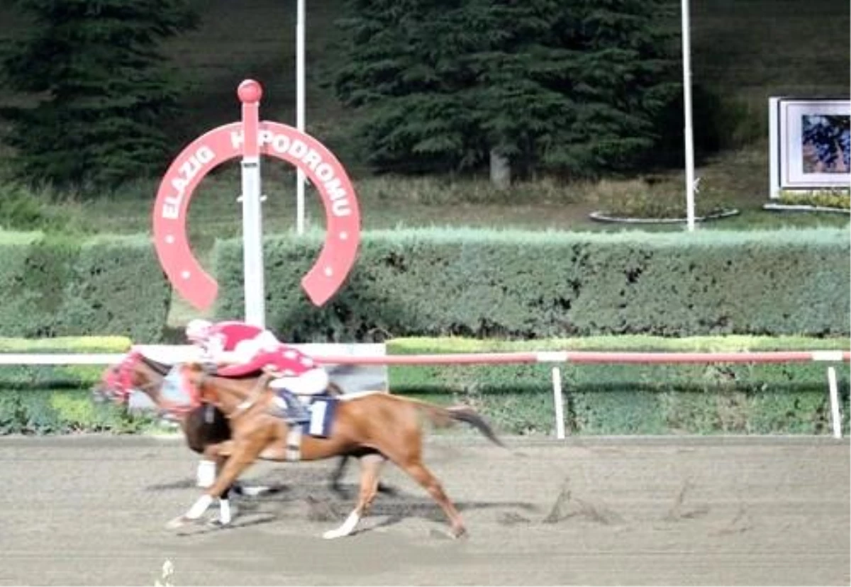 Elazığ Üzüm Festivali Koşusunu Dothraki kazandı