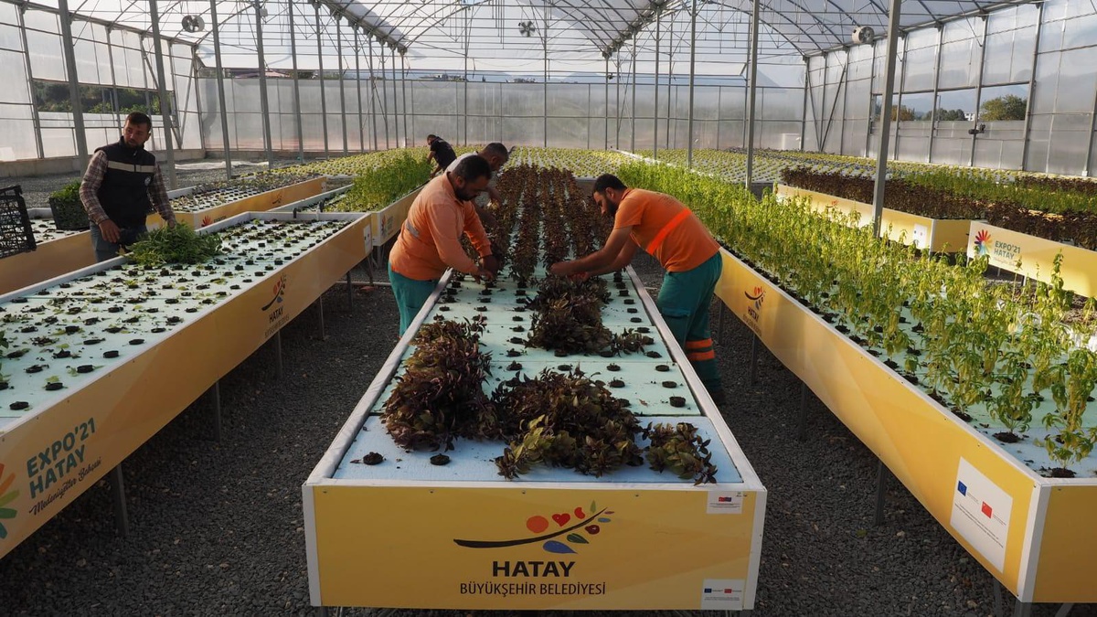 HBB\'nin üreticiler için hayata geçirdiği projeler meyvesini vermeye devam ediyor