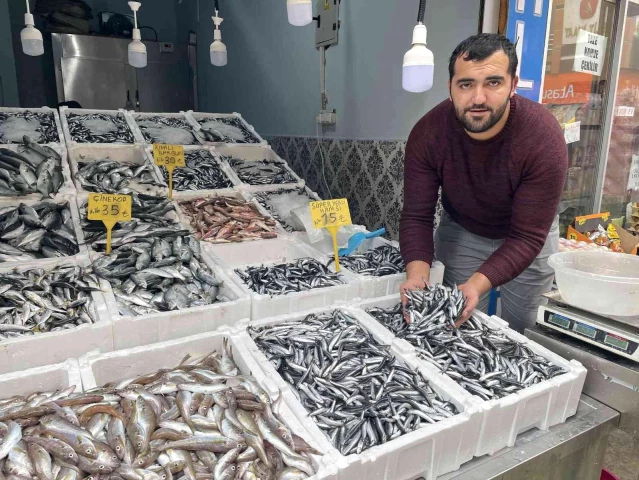 Tezgahlar, hamsilerle şenlendi! Kilosu 15 TL'ye düşünce vatandaşın yüzü güldü