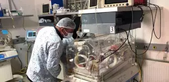 Ispartalı çiftin dördüz bebek sevinci