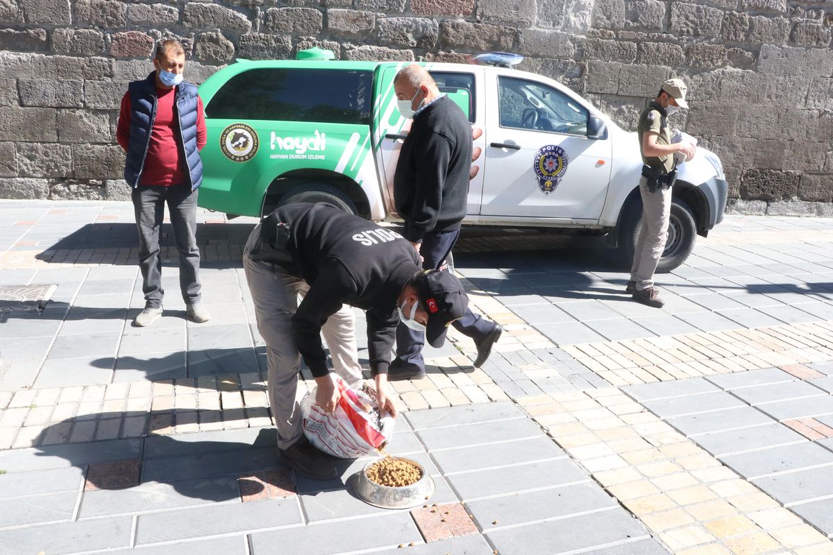 Kayseri\'de polis ekiplerinden sokak hayvanlarına yem ve mama desteği