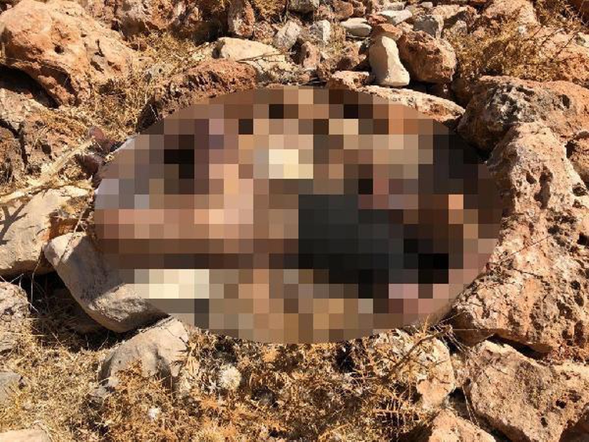 Cezaevinden yeni çıkan adamın cansız bedeninin 4 gün boyunca boş arazide olduğu anlaşıldı