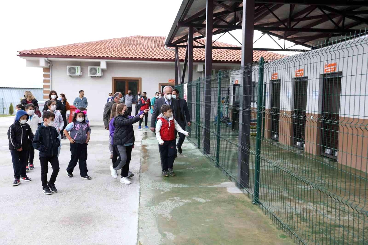 Öğrenciler sokak hayvanlarını ziyaret etti