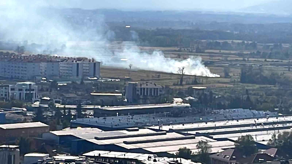 Son dakika haberleri... Rüzgarın etkisi ile yükselen dumanları, vatandaşlar söndürdü