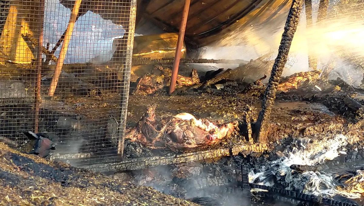Ağıl alevlere teslim oldu