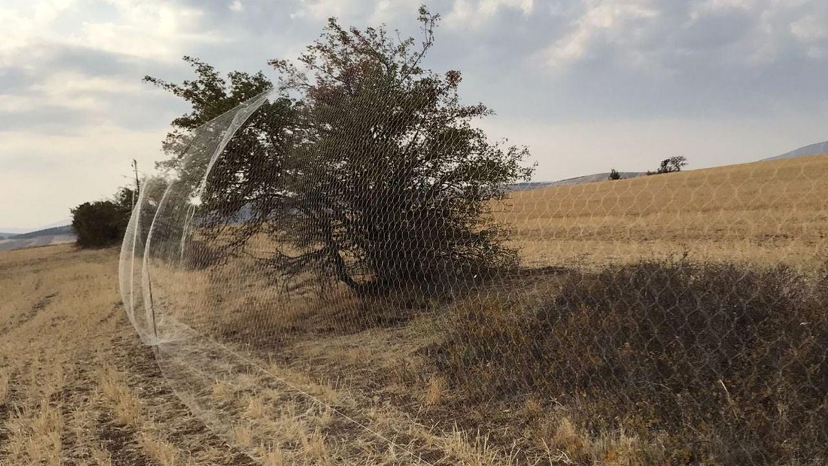 Elazığ\'da yasa dışı yöntemlerle avcılık yapan 6 kişiye ceza uygulandı