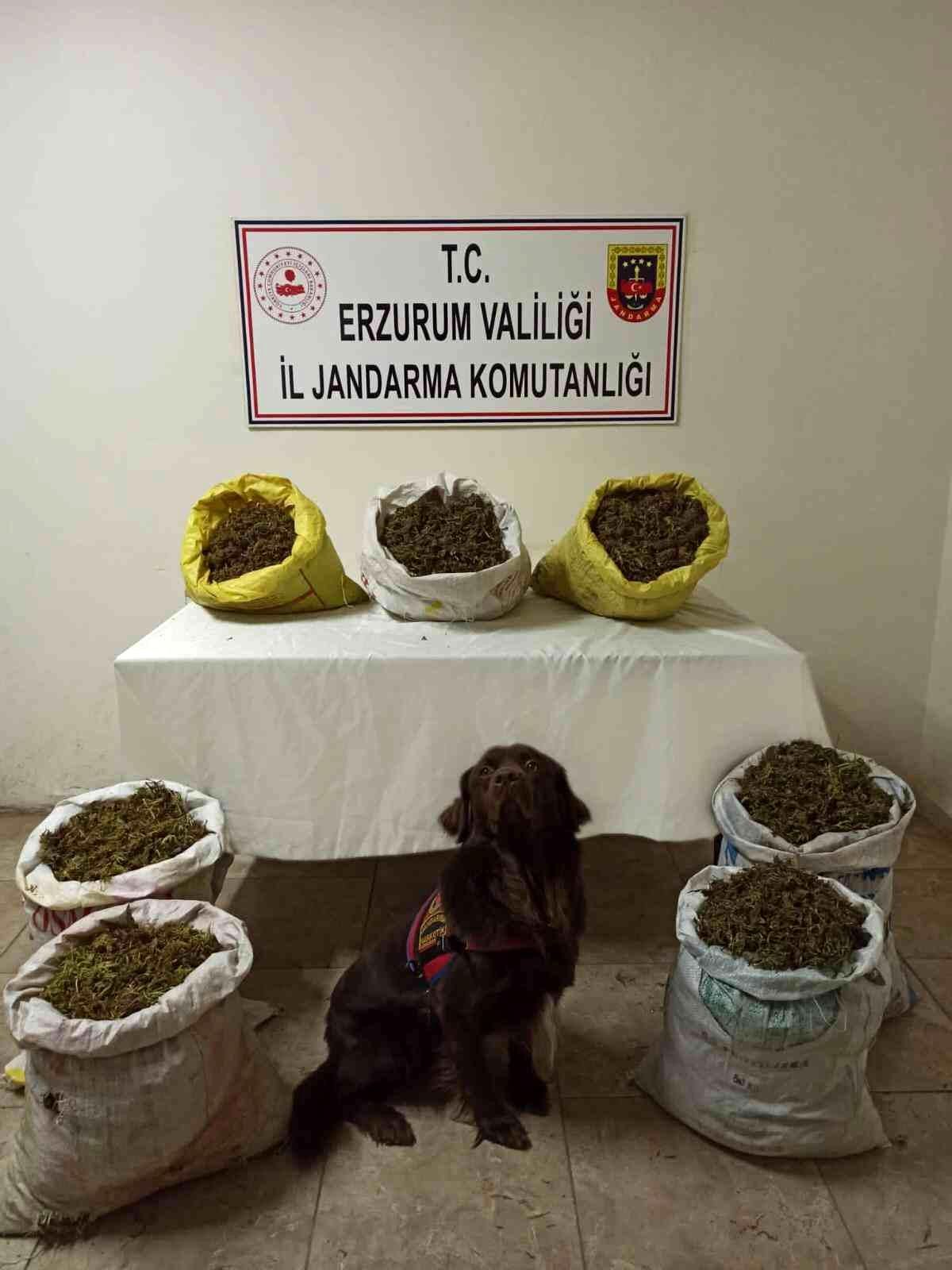 Erzurum\'da 45 kilogram kubar esrar ele geçirildi
