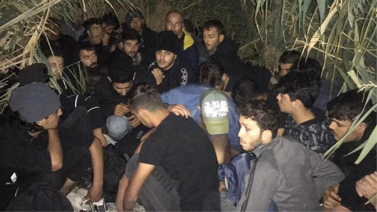 Kaçak göçmenlere yakalama operasyonu! 28 kişilik Suriyeli grup sazlıklar arasında kıskıvrak yakalandı