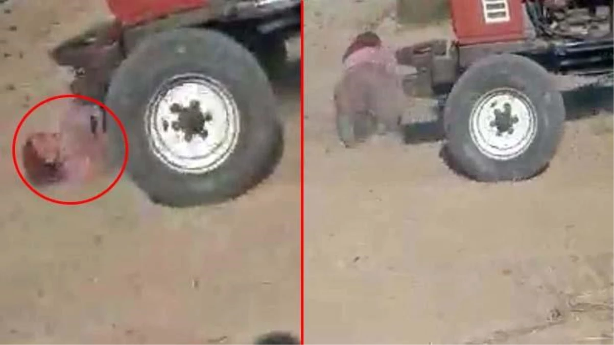 Miras kavgası yüzünden iki kardeş, ablalarının saçlarını yolup üzerinden traktörle geçtiler