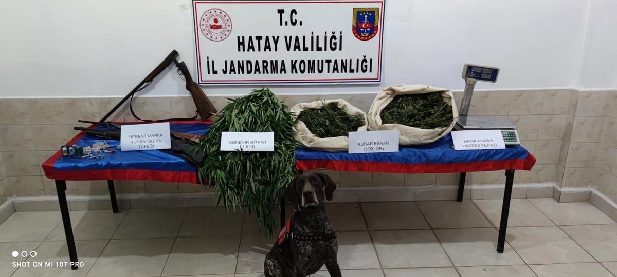 Hatay\'da uyuşturucu operasyonuna 1 tutuklama