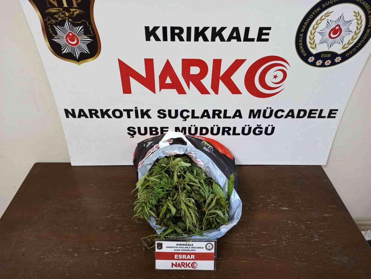 Kırıkkale\'de 1 kilo 410 gram esrar ele geçirildi