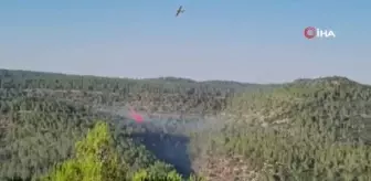 Kudüs'te orman yangını henüz kontrol altına alınamadı