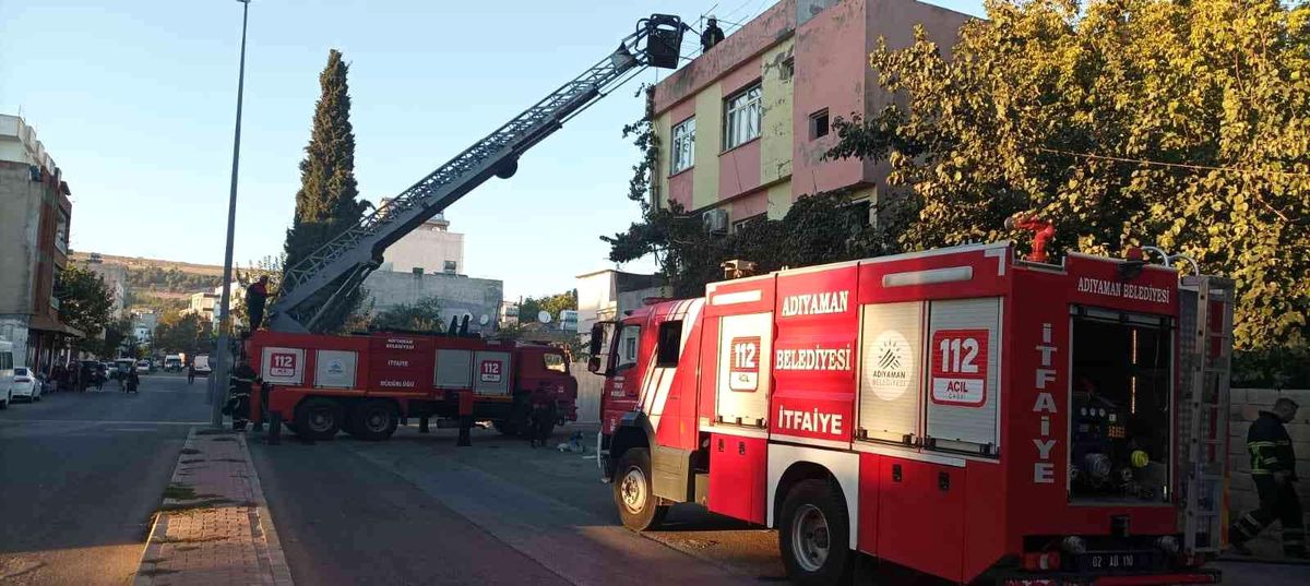 Son dakika! Odunluk yangınını söndürmek isterken başka odunluğu yaktılar