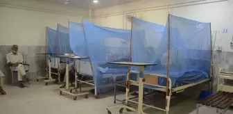 Pakistan'da artan dang humması vakaları